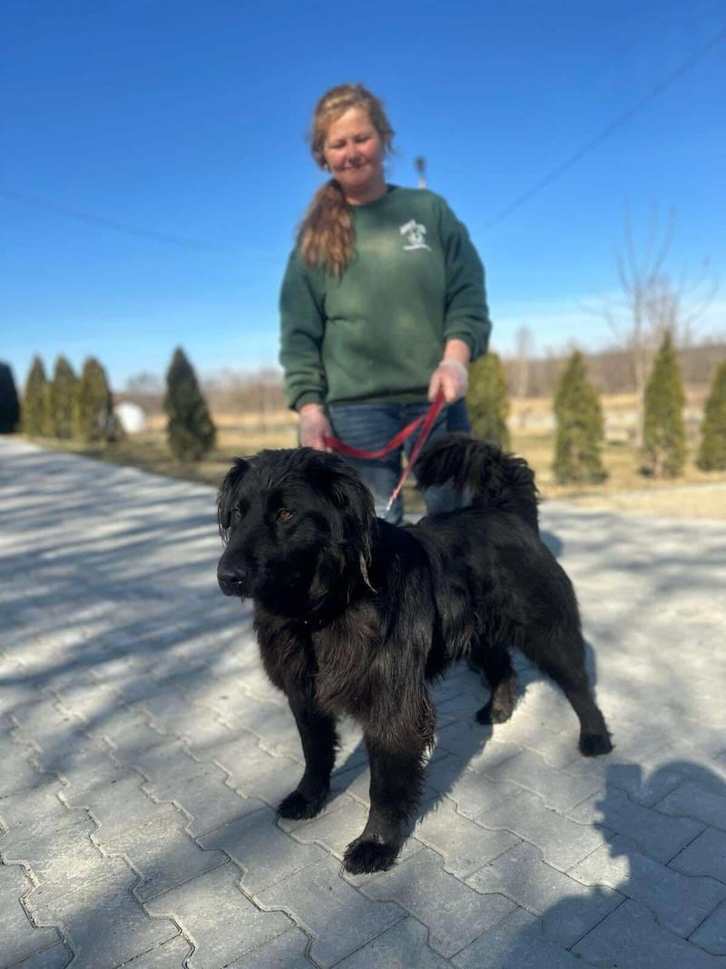 *** PRE RESERVATIE *** 🐾✨ Ontmoet F L Y N N E – jouw vrolijke beauty queen ✨🐾