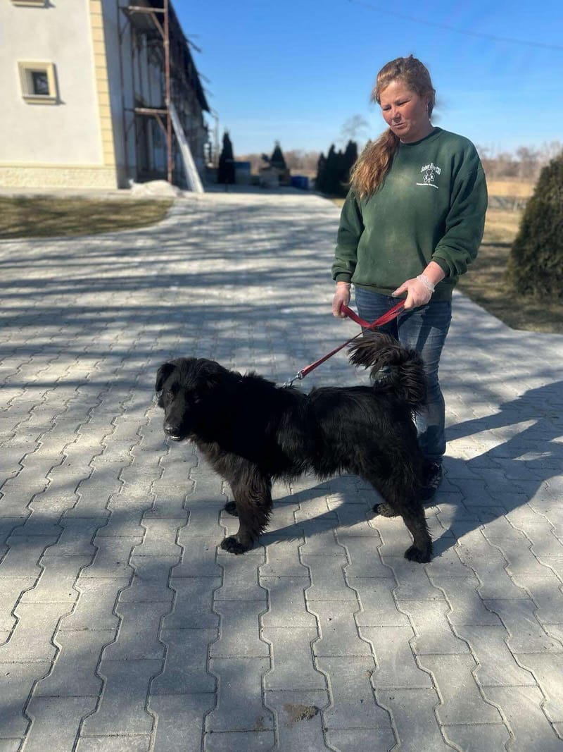 *** PRE RESERVATIE *** 🐾✨ Ontmoet F L Y N N E – jouw vrolijke beauty queen ✨🐾