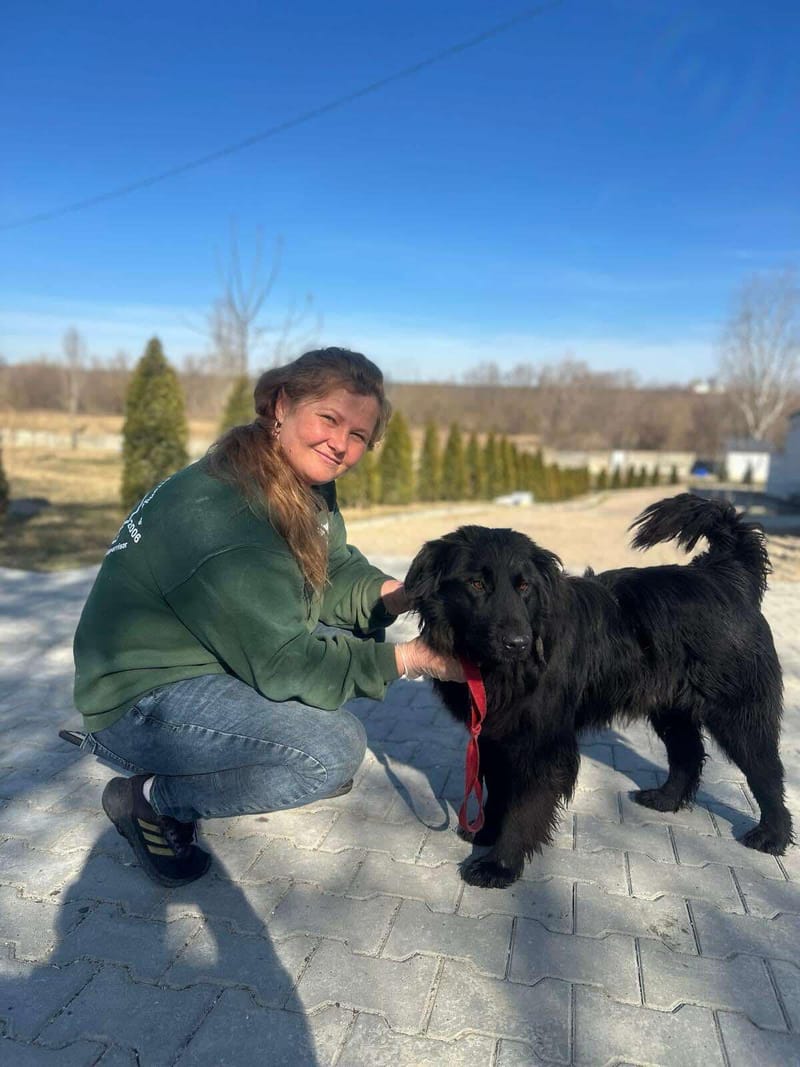 *** PRE RESERVATIE *** 🐾✨ Ontmoet F L Y N N E – jouw vrolijke beauty queen ✨🐾