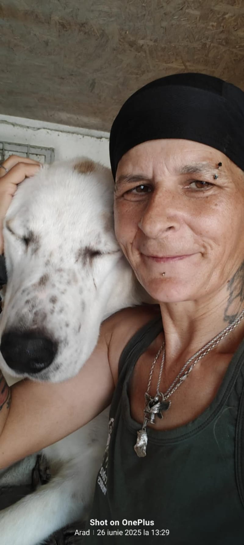 🐾 BALOO  💖 Een grote zachte knuffelbeer met een hart van goud 💖