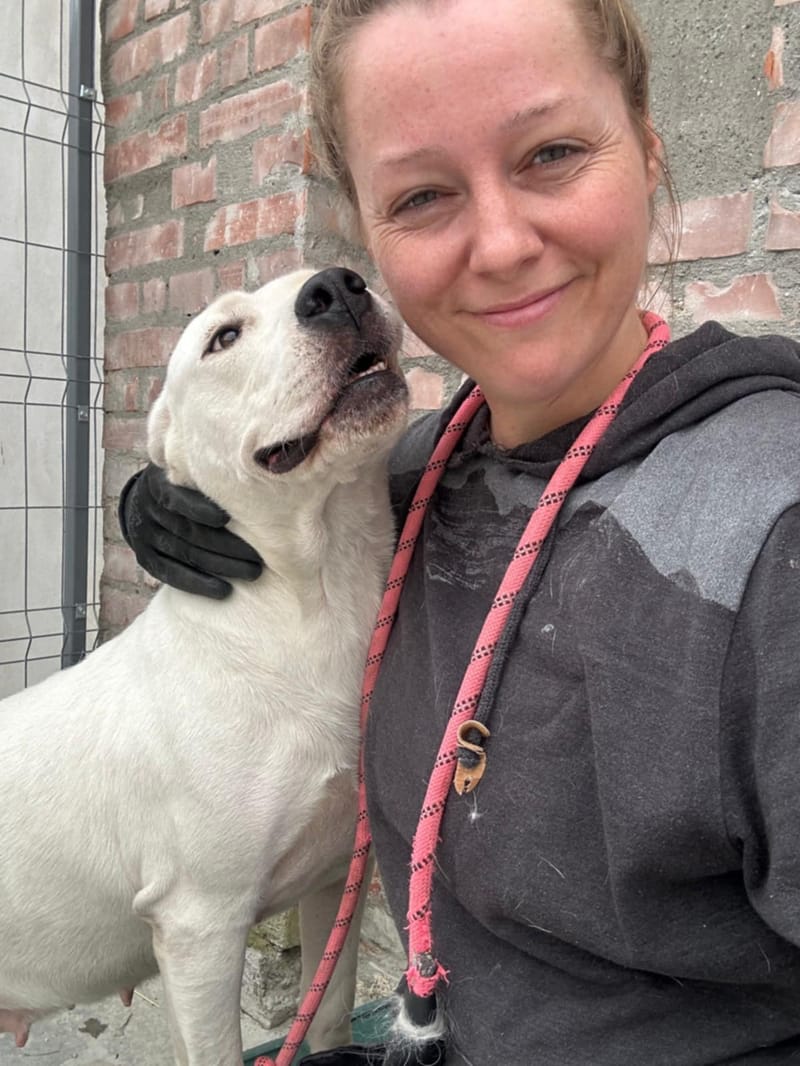 🐾❤️ Zal 2025 eindelijk het jaar worden waarin ALBA haar gouden mand vindt? ❤️🐾