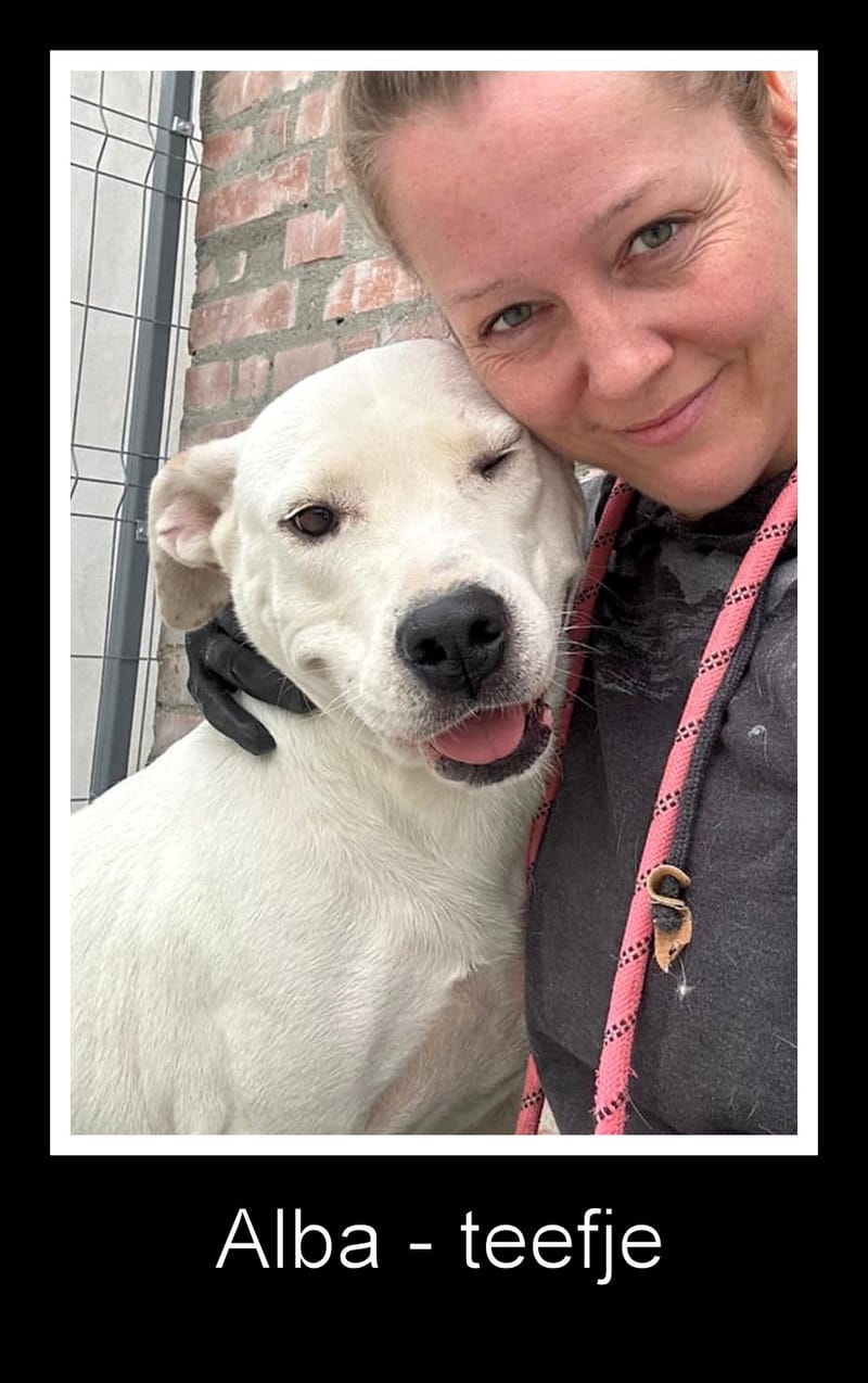 🐾❤️ Zal 2025 eindelijk het jaar worden waarin ALBA haar gouden mand vindt? ❤️🐾