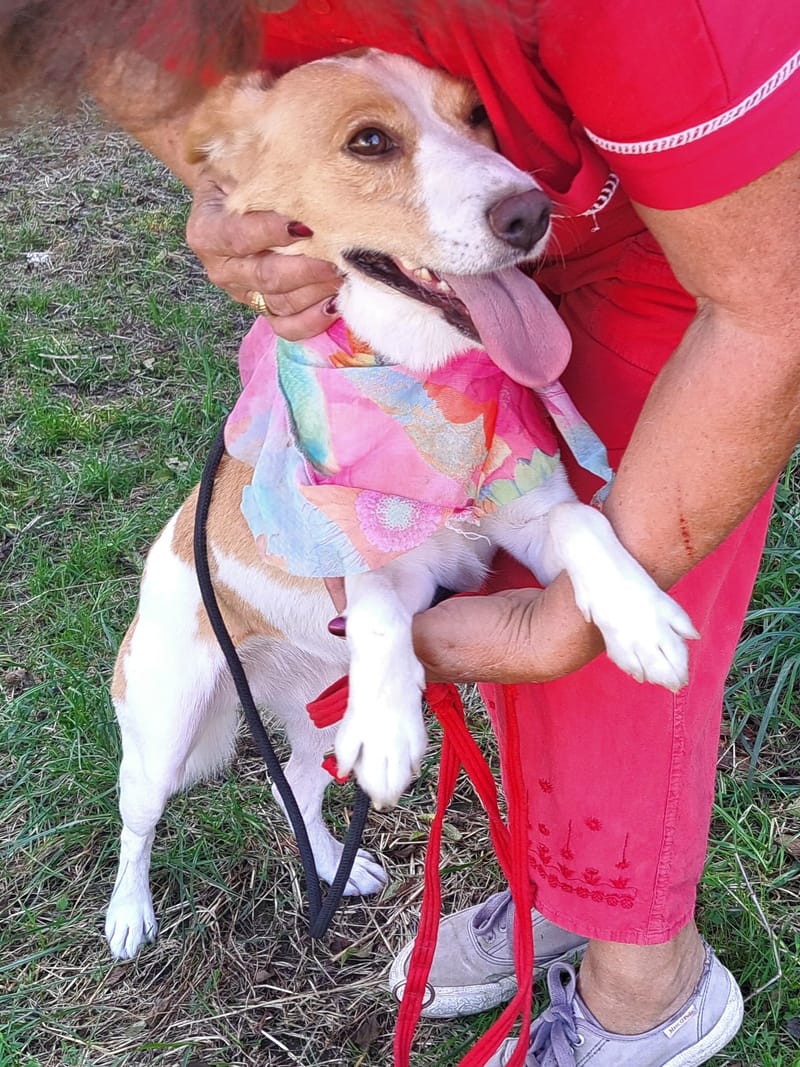 🐾❤️ Mag 2025 eindelijk het jaar worden waarin KATE alias "KAATJE" al haar pech achter zich laat? ❤️🐾