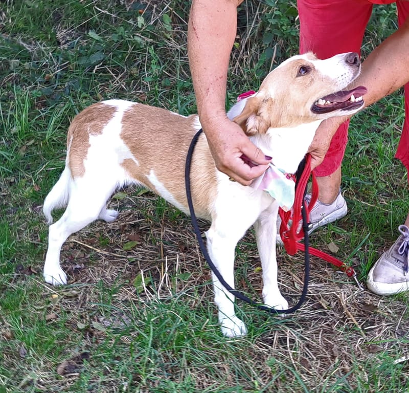 🐾❤️ Mag 2025 eindelijk het jaar worden waarin KATE alias "KAATJE" al haar pech achter zich laat? ❤️🐾
