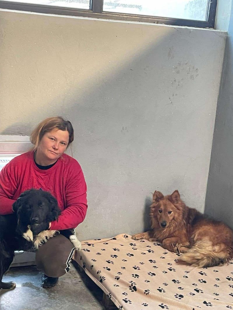 🐾✨ Ontmoet M O N T Y – een zachtaardige kleine gentleman ✨🐾