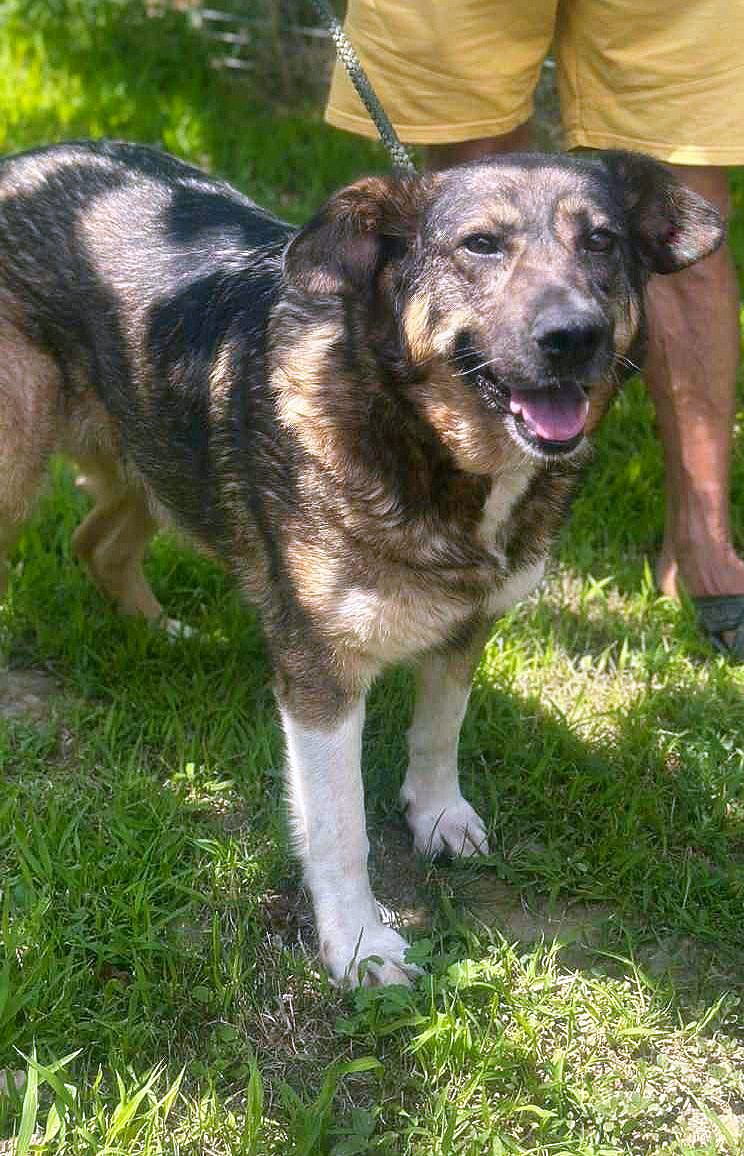 💖 JOSEPHINE – alias "Fientje" – Een hart van goud in een stoer jasje 💖