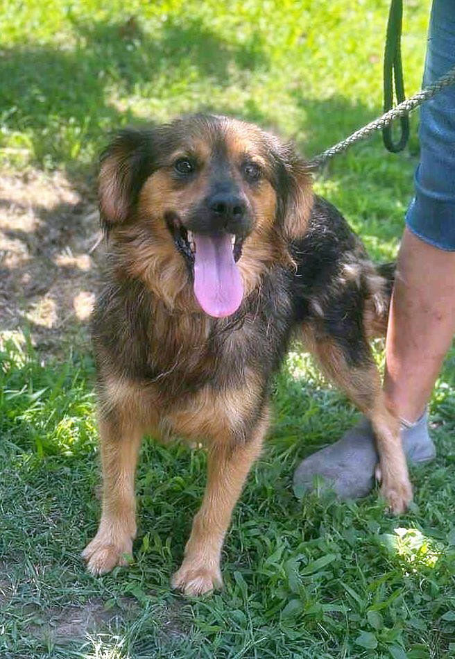 *** PRE RESERVATIE ***  ✨ Jetty – het kleine zonnestraaltje dat jouw hart steelt ✨