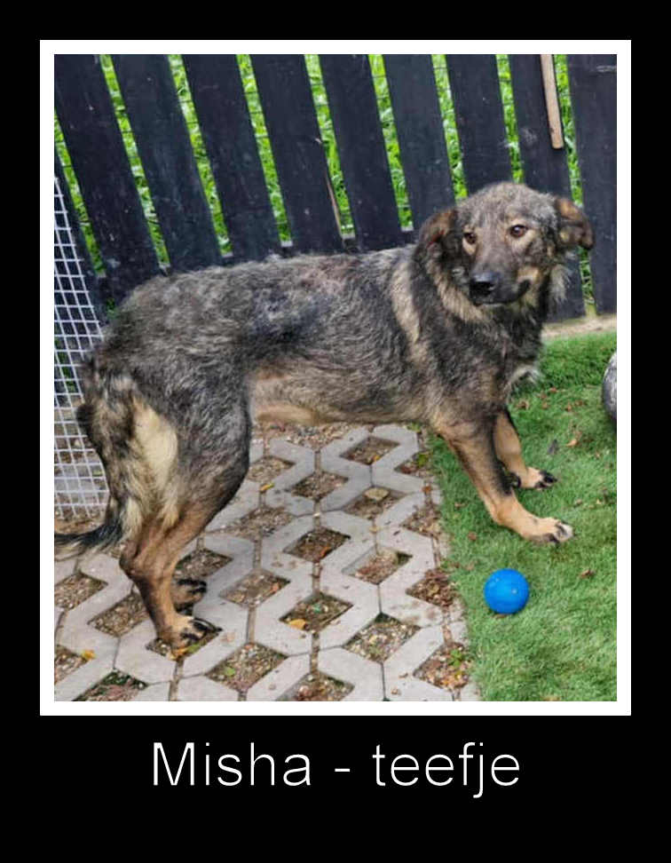 💖 MISHA – Een moedige mama met een zacht hart 💖