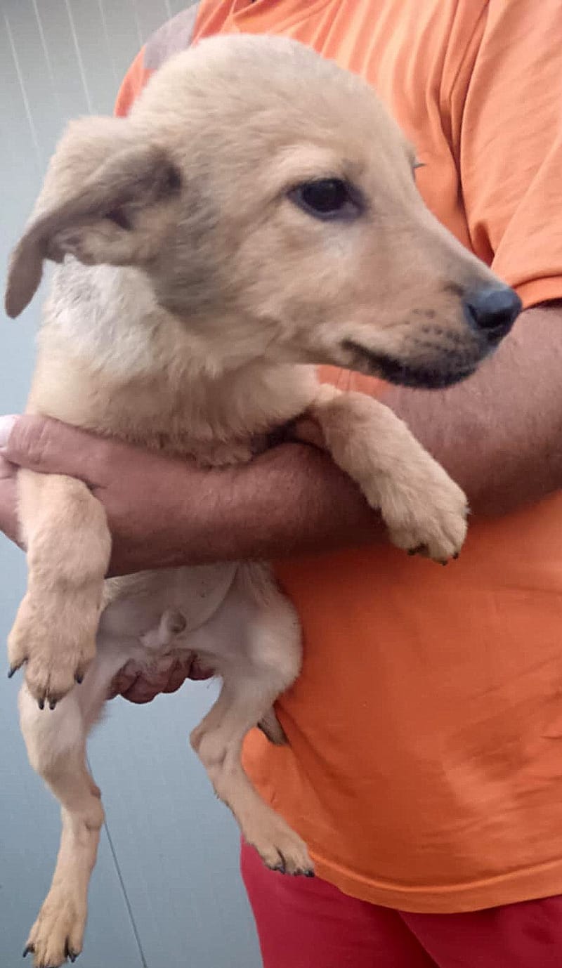 💖 MORGAN – Een zachte jongen met een zonnig karakter 💖