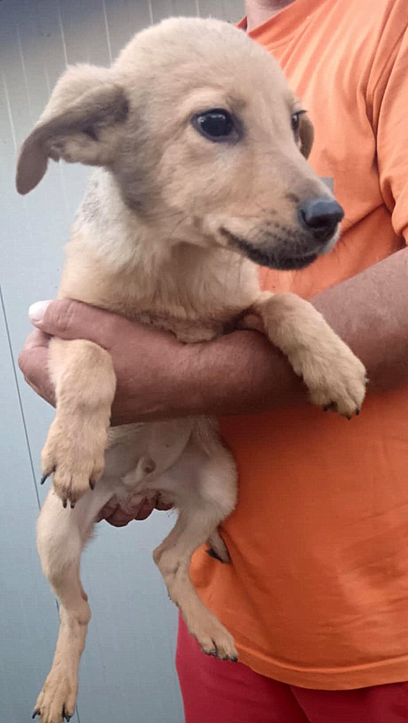 💖 MORGAN – Een zachte jongen met een zonnig karakter 💖