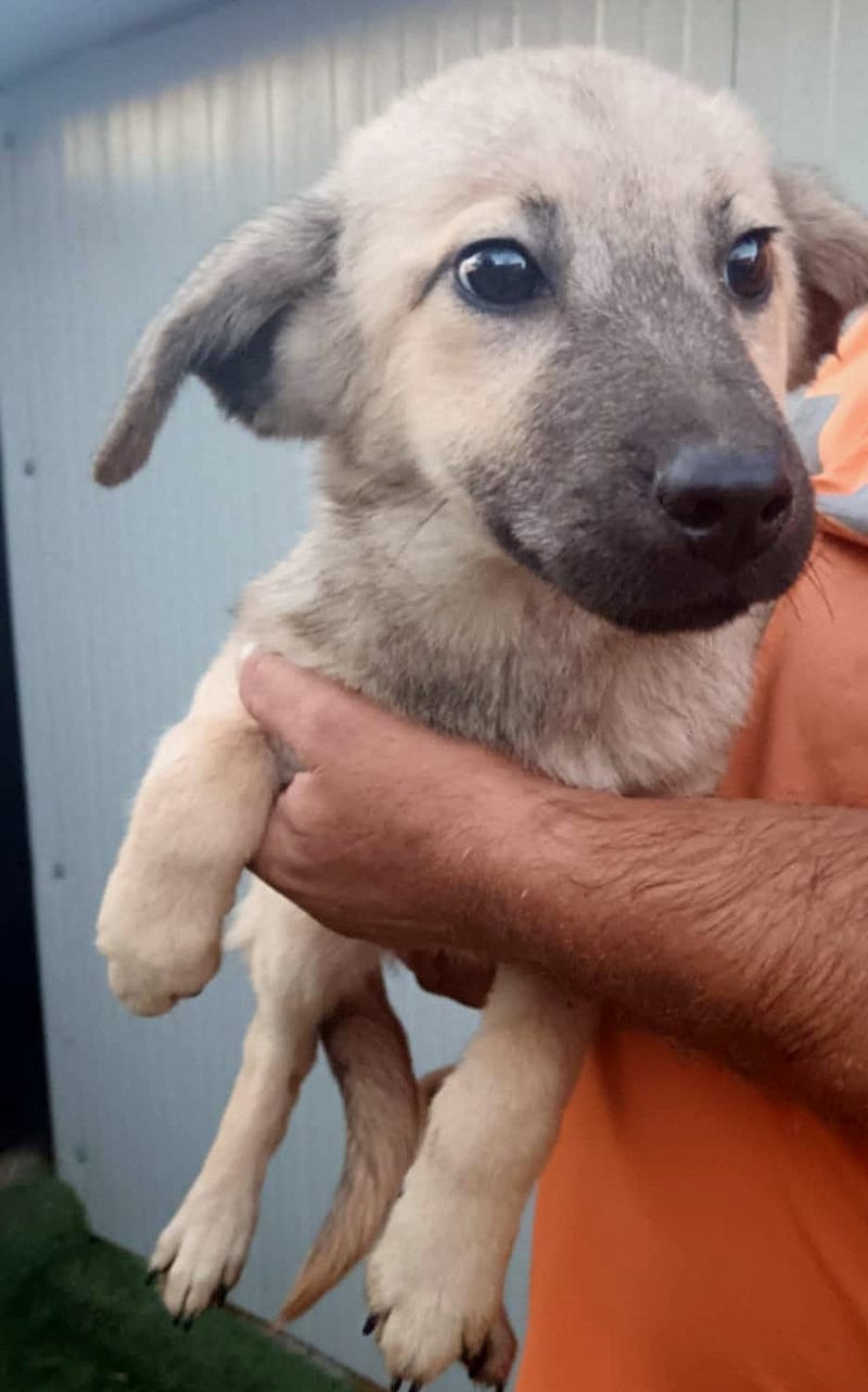 💖 MAXIE – Een zacht knuffelmeisje met een stoer snoetje 💖