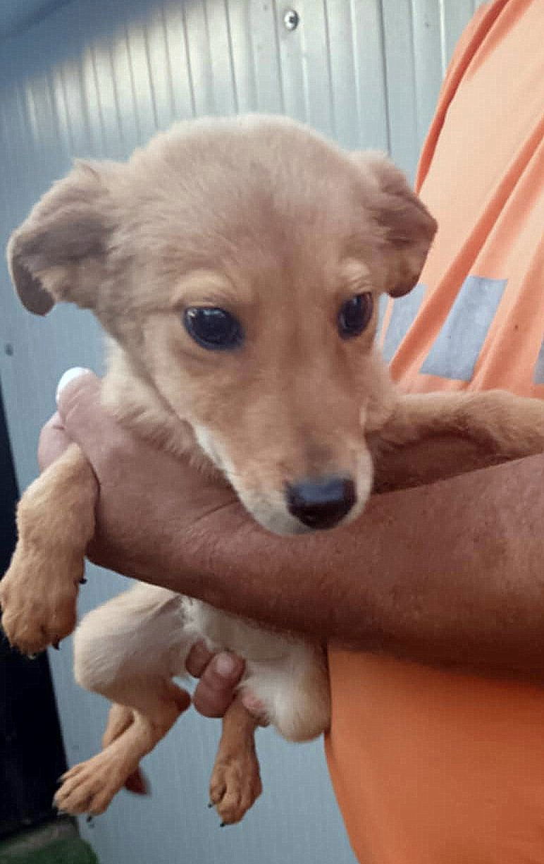 💖 MILA – Een teder meisje met een verfijnd snoetje 💖