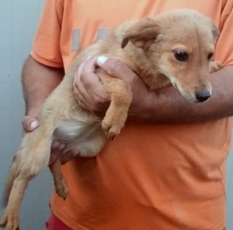 💖 MILA – Een teder meisje met een verfijnd snoetje 💖