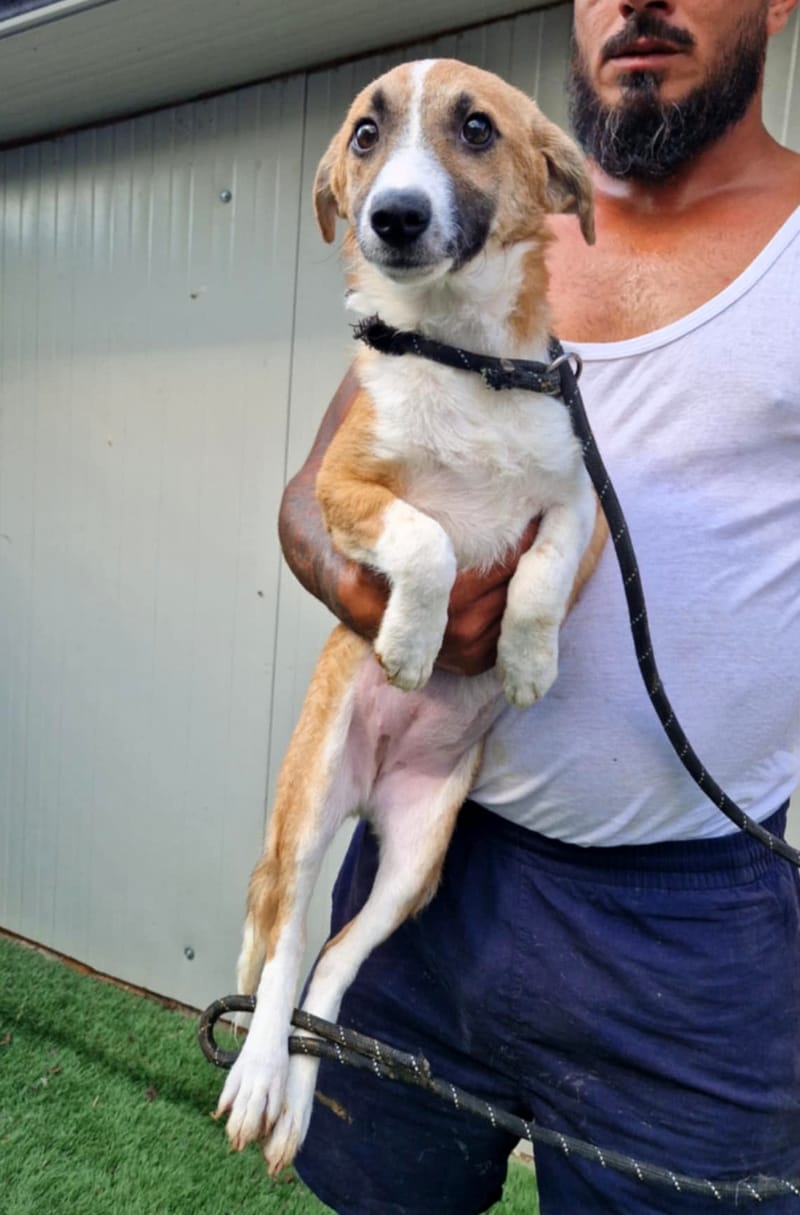 💖 ROSIE – Een bijzonder meisje met een gouden hart 💖