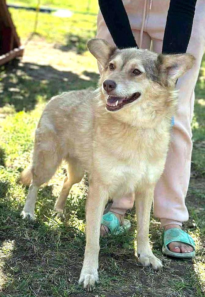 ✨ Elena "Leentje" – lief meisje met een zacht hart ✨