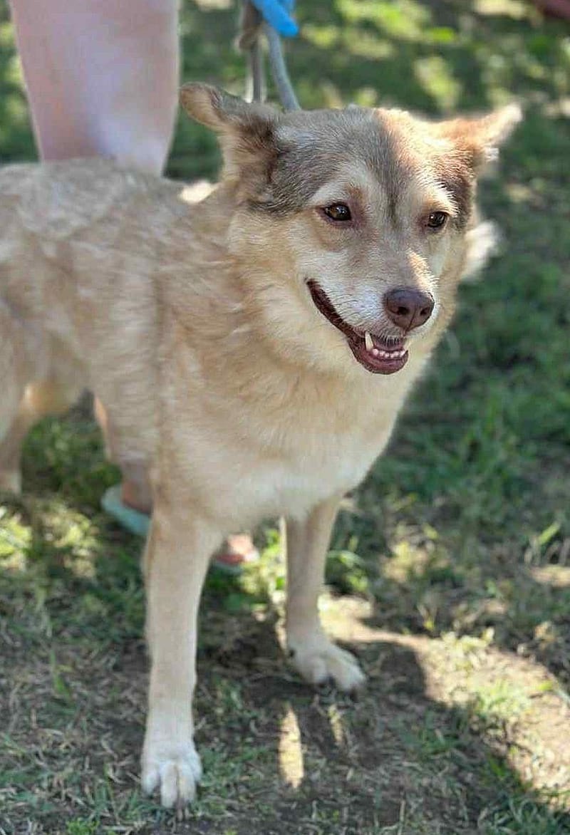 ✨ Elena "Leentje" – lief meisje met een zacht hart ✨