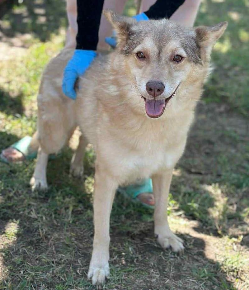 ✨ Elena "Leentje" – lief meisje met een zacht hart ✨