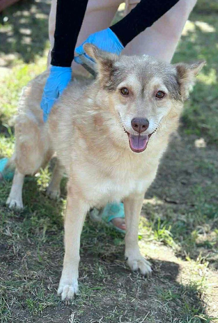 ✨ Elena "Leentje" – lief meisje met een zacht hart ✨