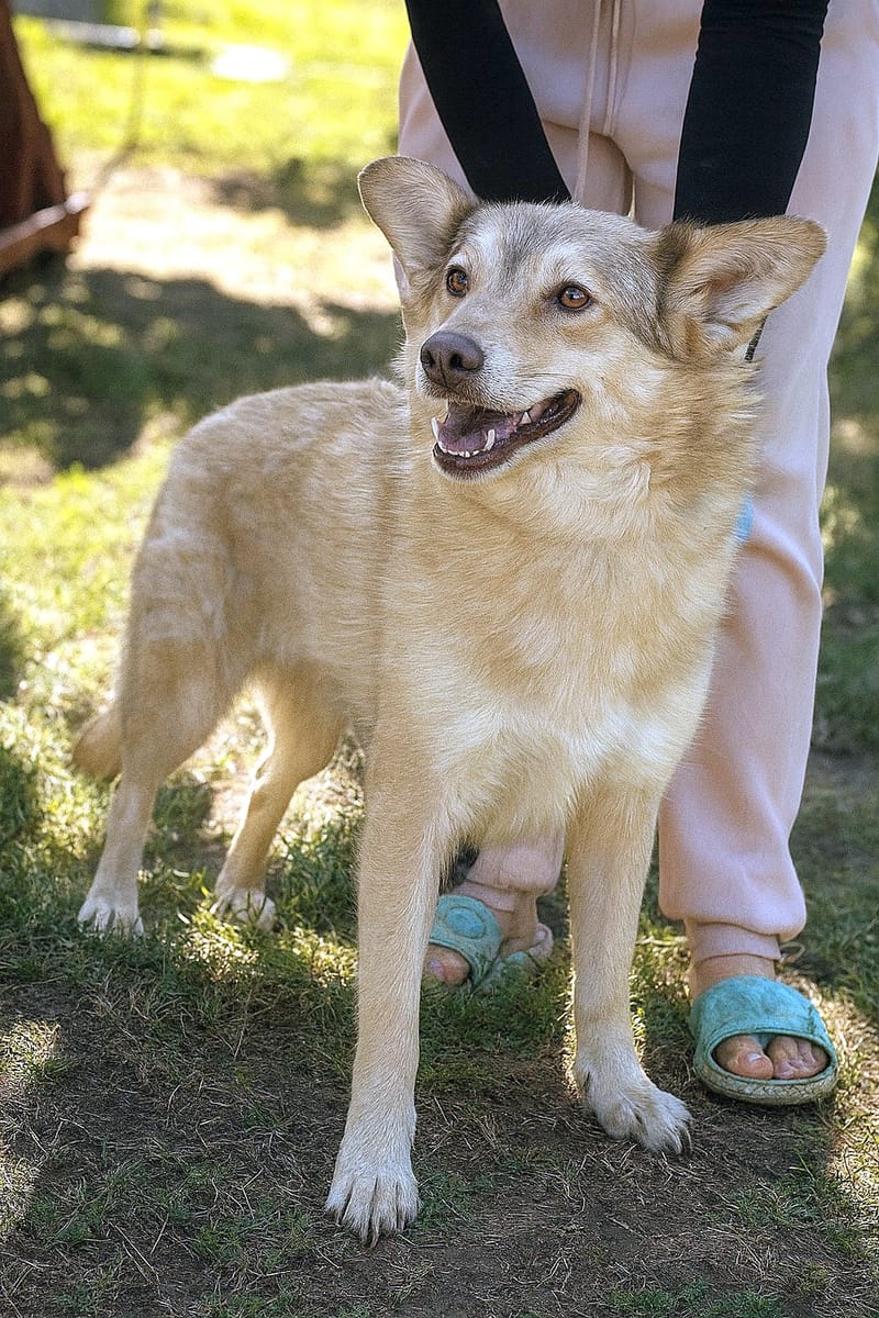 ✨ Elena "Leentje" – lief meisje met een zacht hart ✨