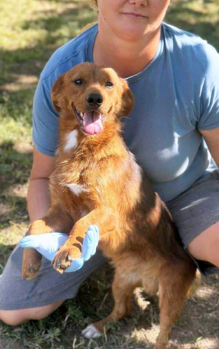 🐾 Fonzy – een klein ventje met een groot hart 🐾