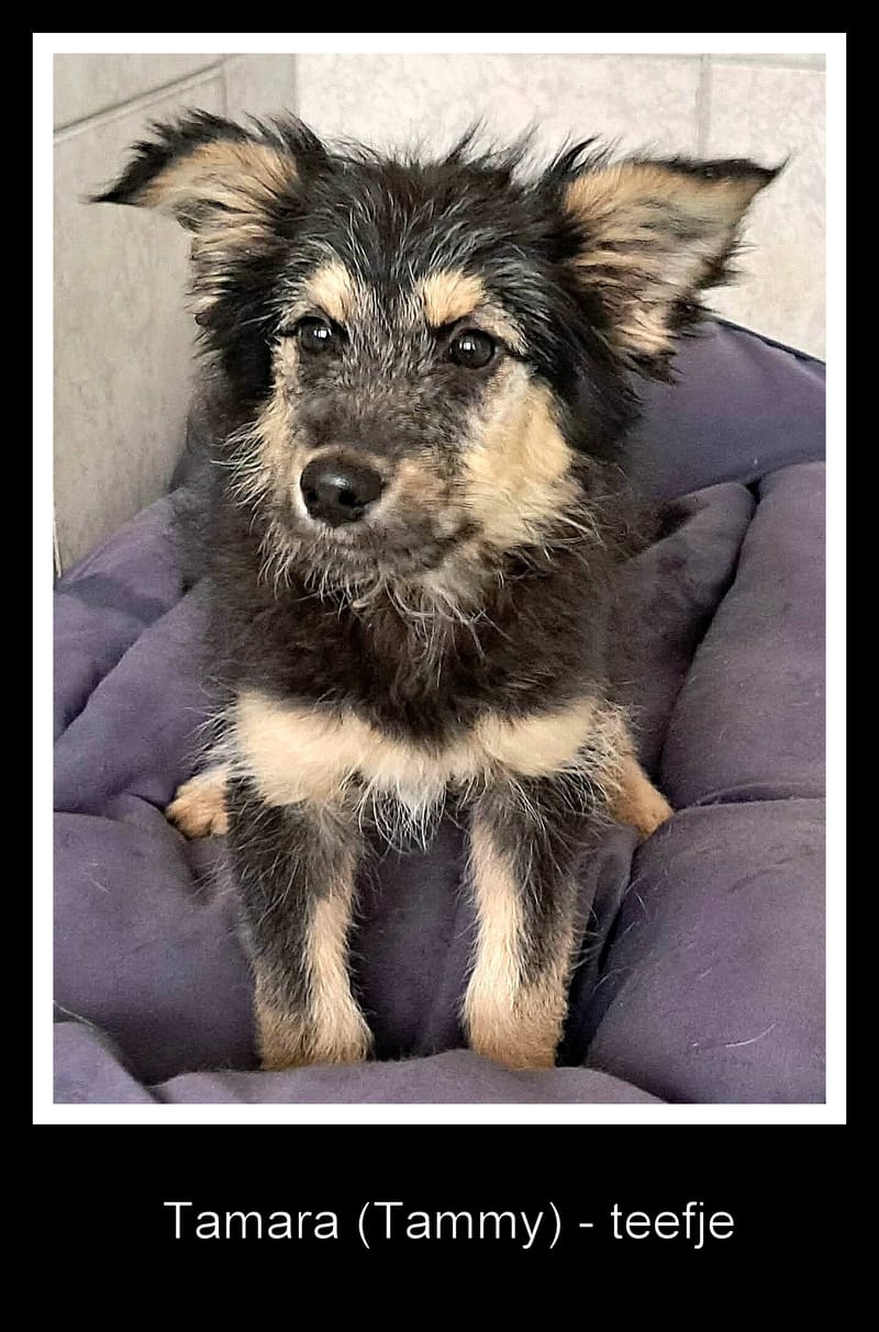 🌸 TAMARA – het zachte, tedere meisje met een bijzonder begin