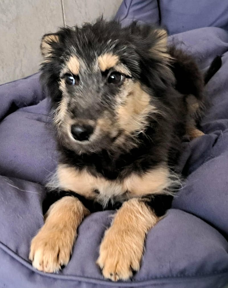 🌸 TAMARA – het zachte, tedere meisje met een bijzonder begin