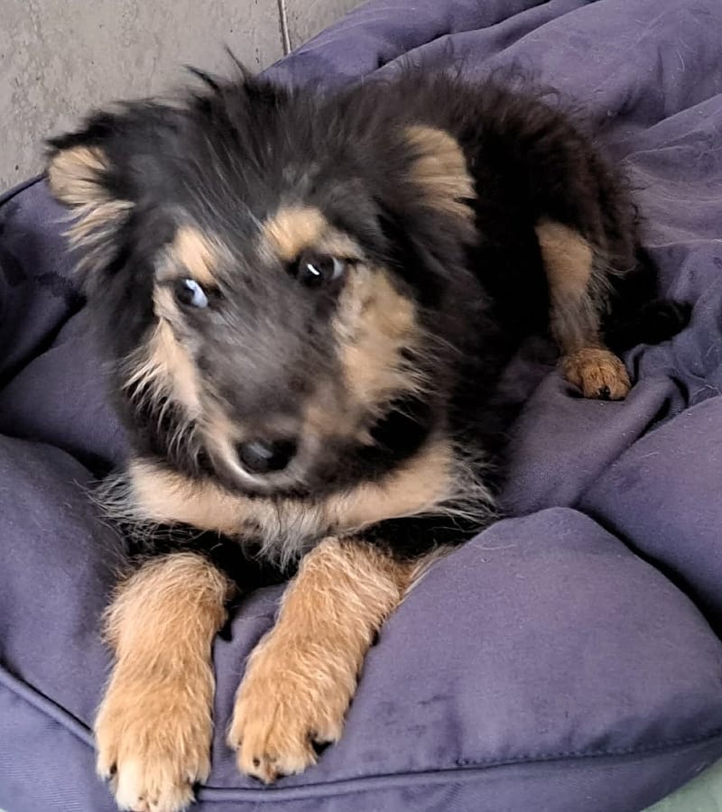 🌸 TAMARA – het zachte, tedere meisje met een bijzonder begin