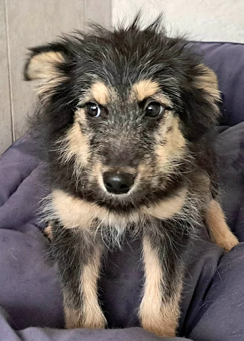 🌸 TAMARA – het zachte, tedere meisje met een bijzonder begin