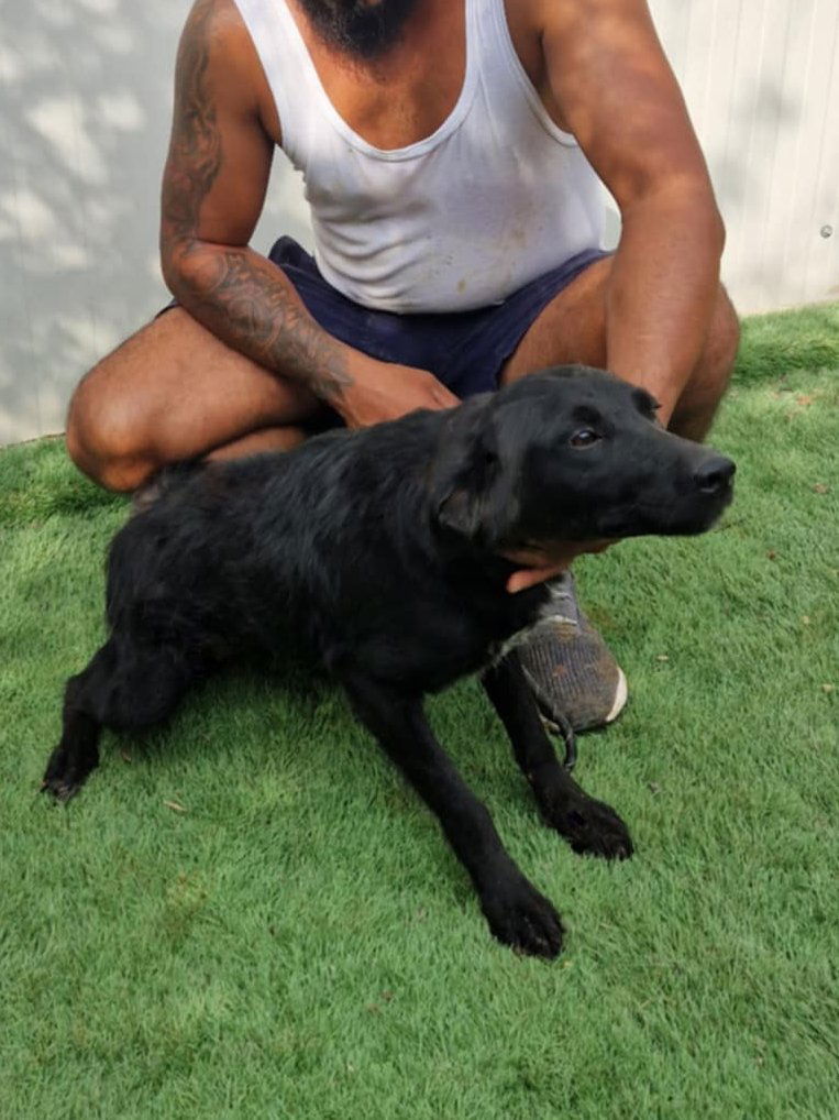 *** RESERVED FOR UK *** EBONY 