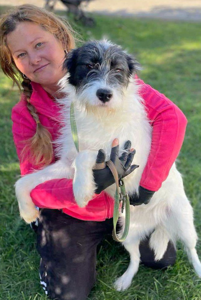 ABBY *** ADOPTED IN UK ***