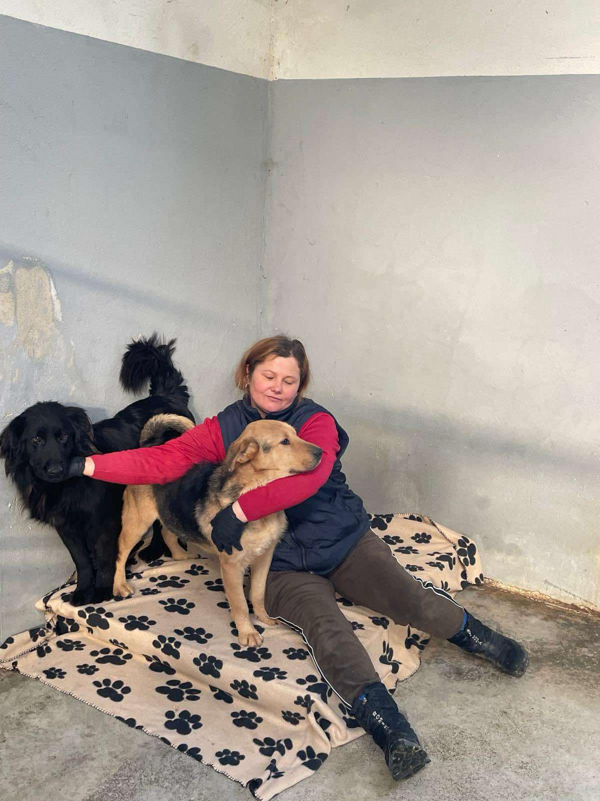 *** ADOPTED *** CAMIEL (CAMILLEKE )
