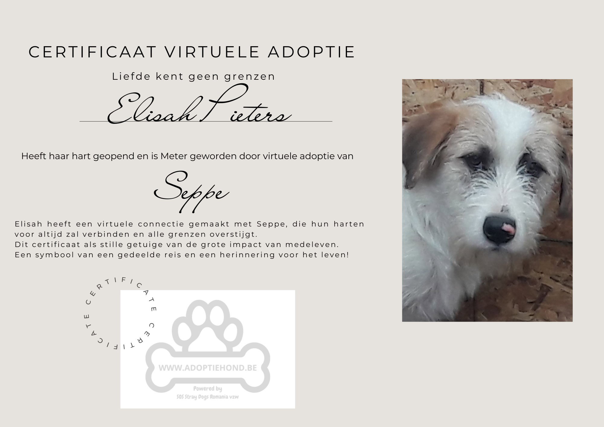 Wie helpt Seppe?