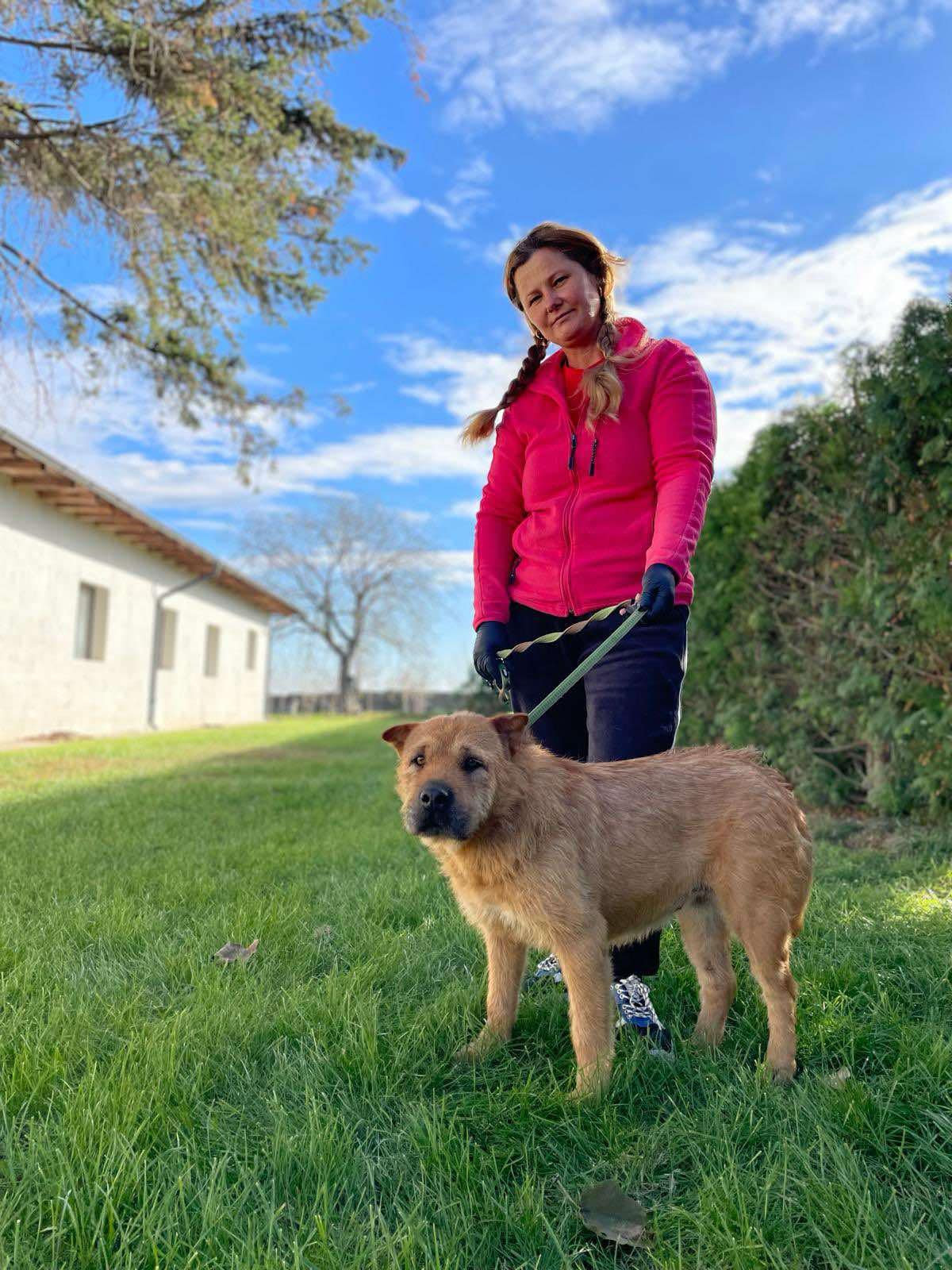 ***ADOPTED IN UK ***