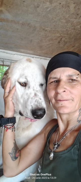 *** ADOPTED UK *** 🐾 BALOO  💖 Een grote zachte knuffelbeer met een hart van goud 💖