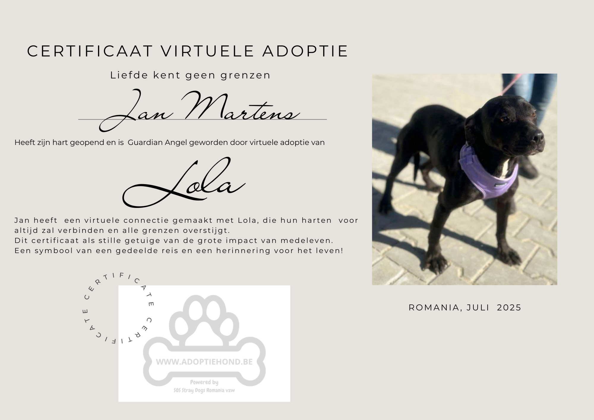 LOLA - 💕 is volledig gesteund