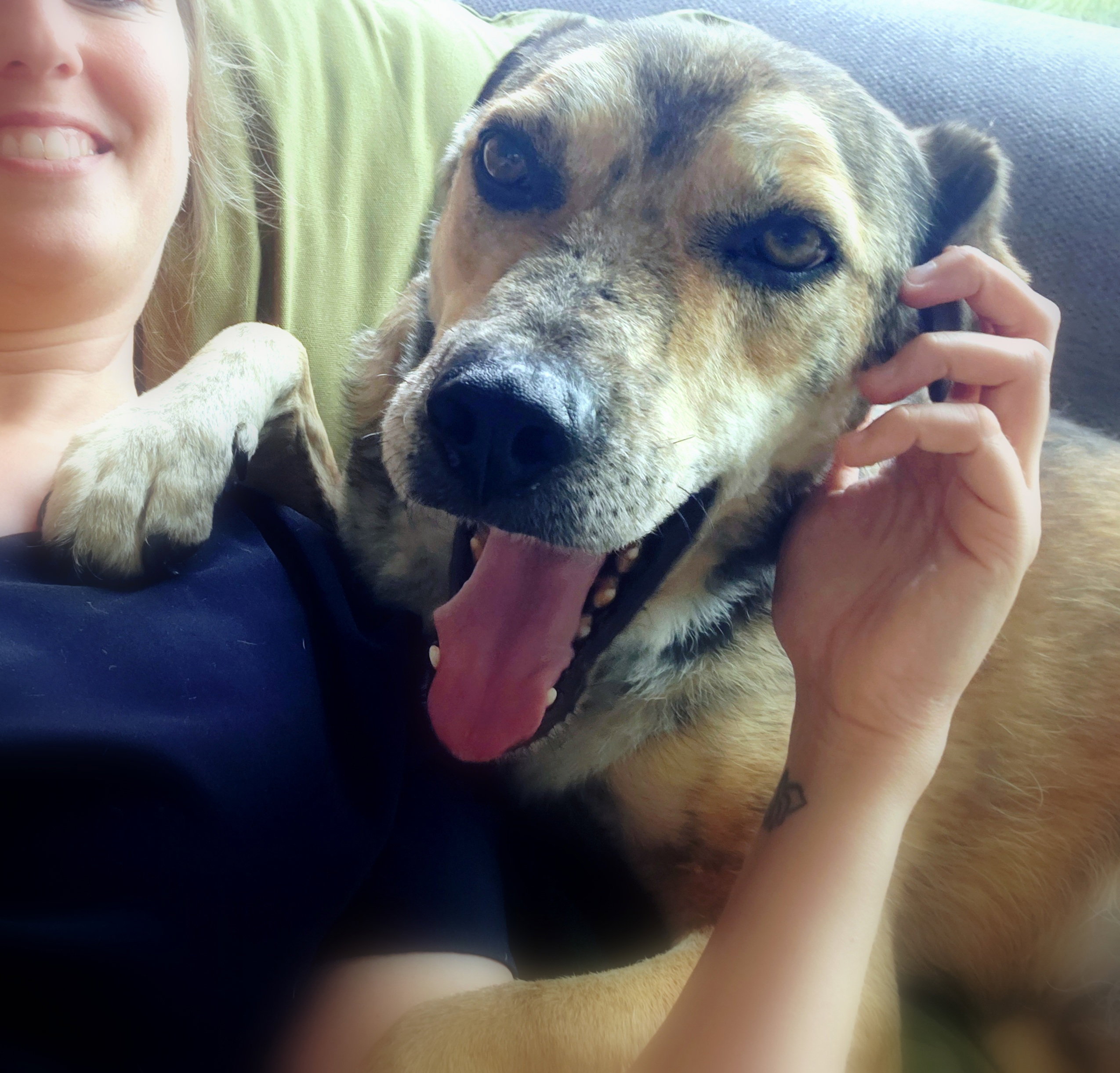 *** ADOPTED ***