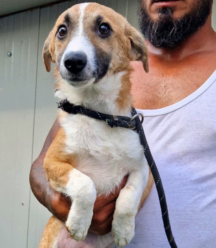 *** RESERVED FOR UK ***