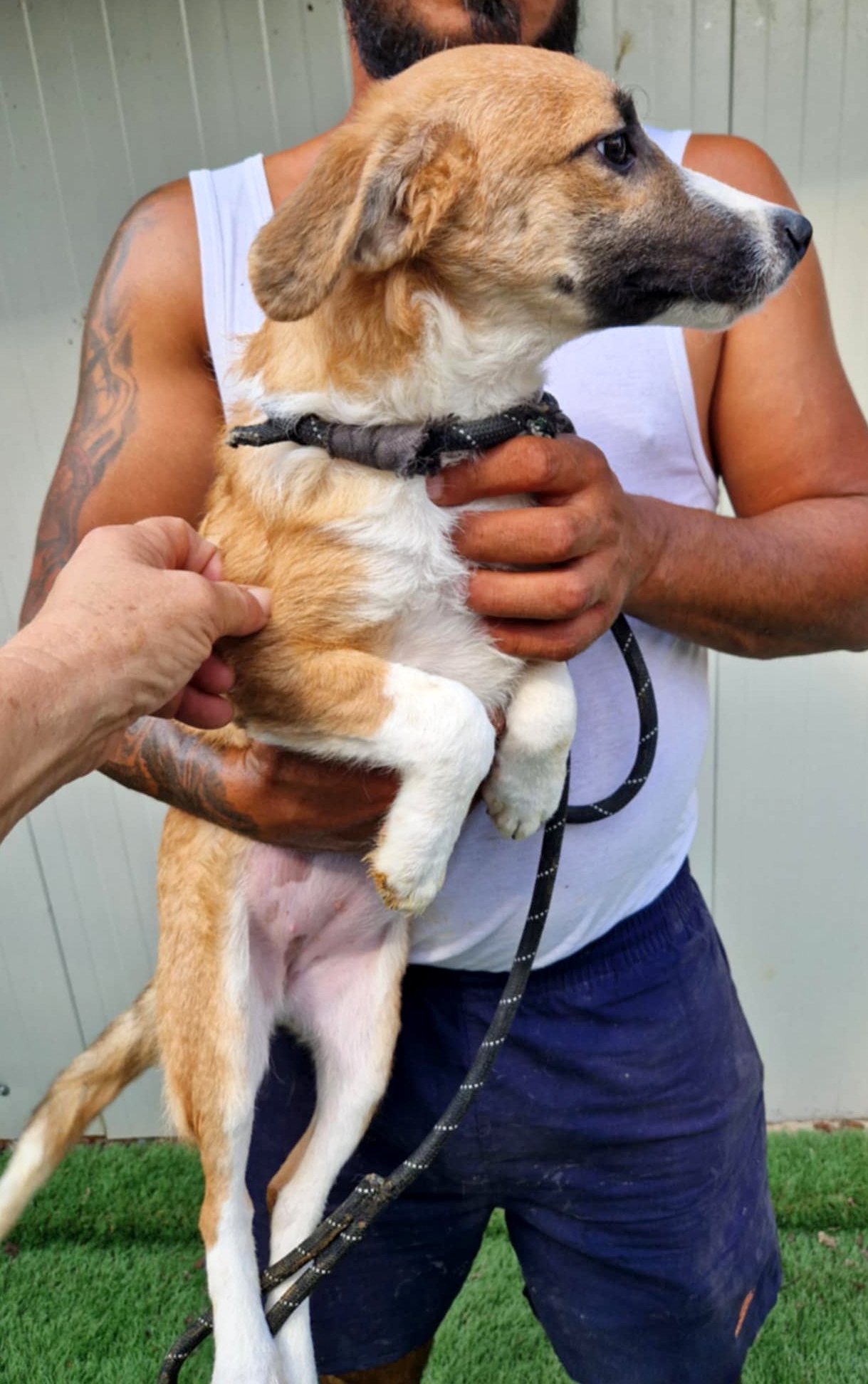 *** RESERVED FOR UK ***