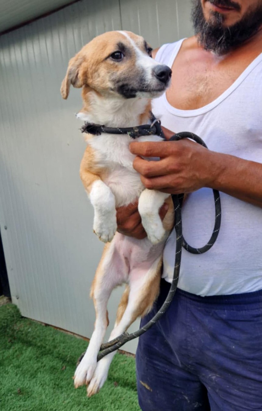 *** RESERVED FOR UK ***