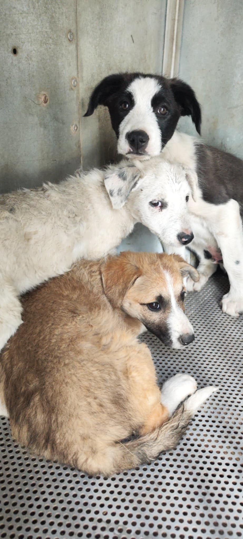*** RESERVED FOR UK ***