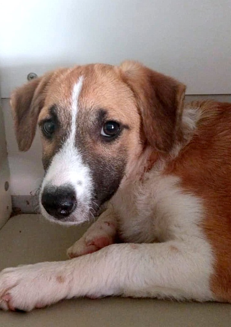 *** RESERVED FOR UK ***