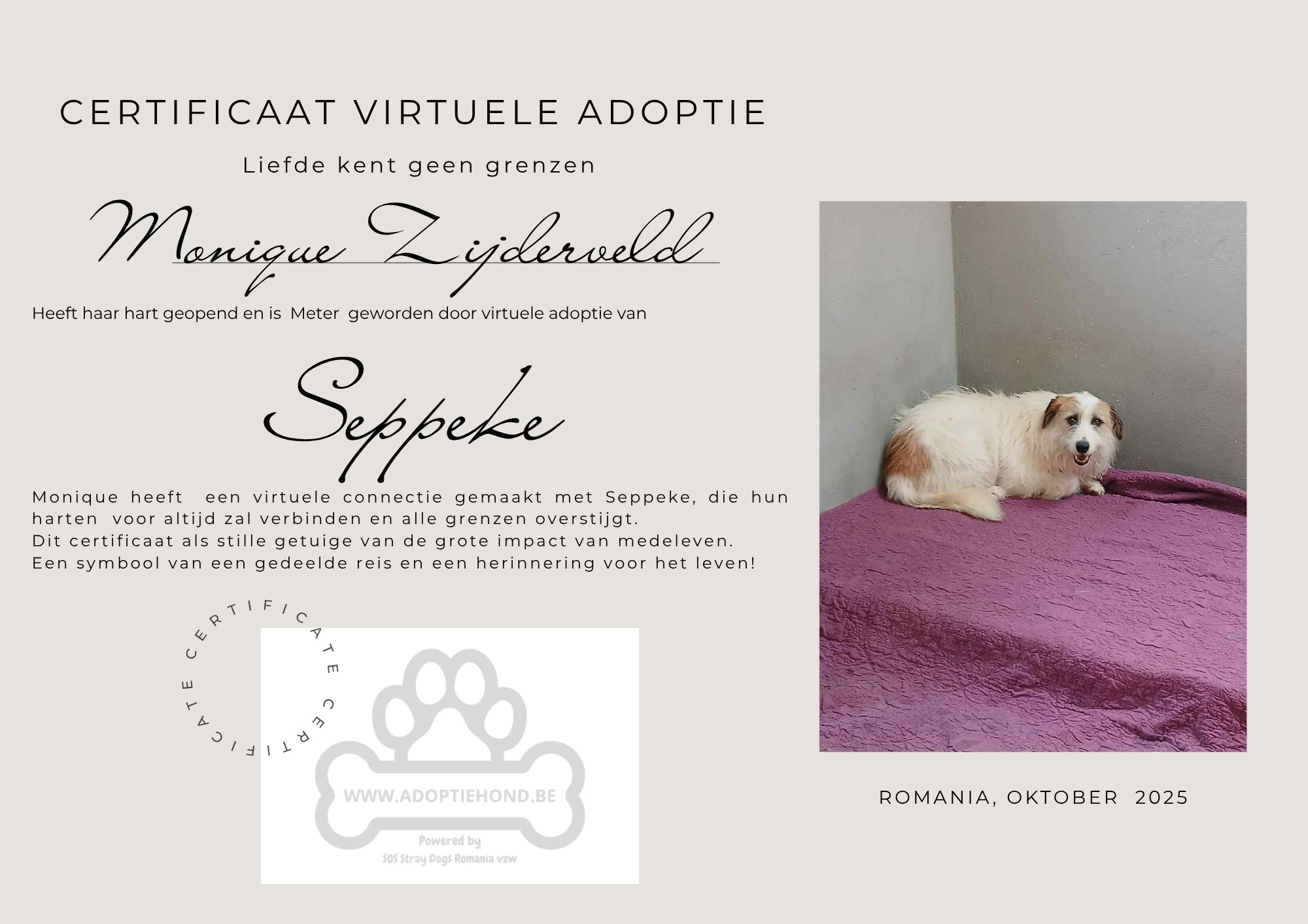 Wie helpt Seppe?