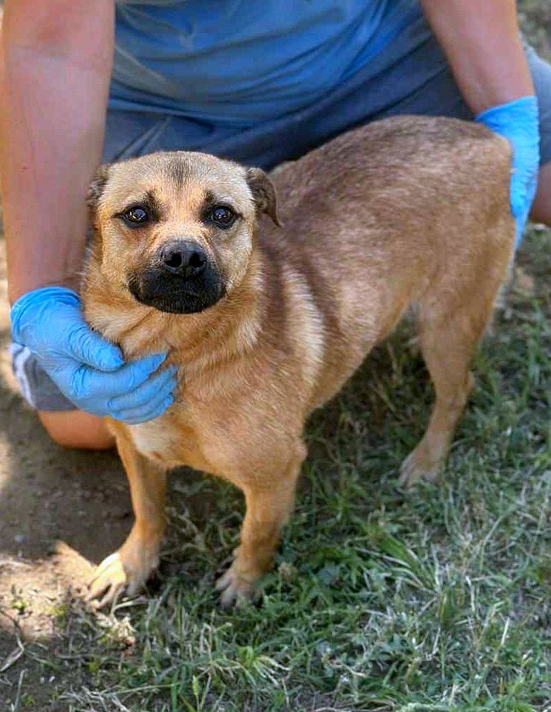 *** RESERVED UK ***