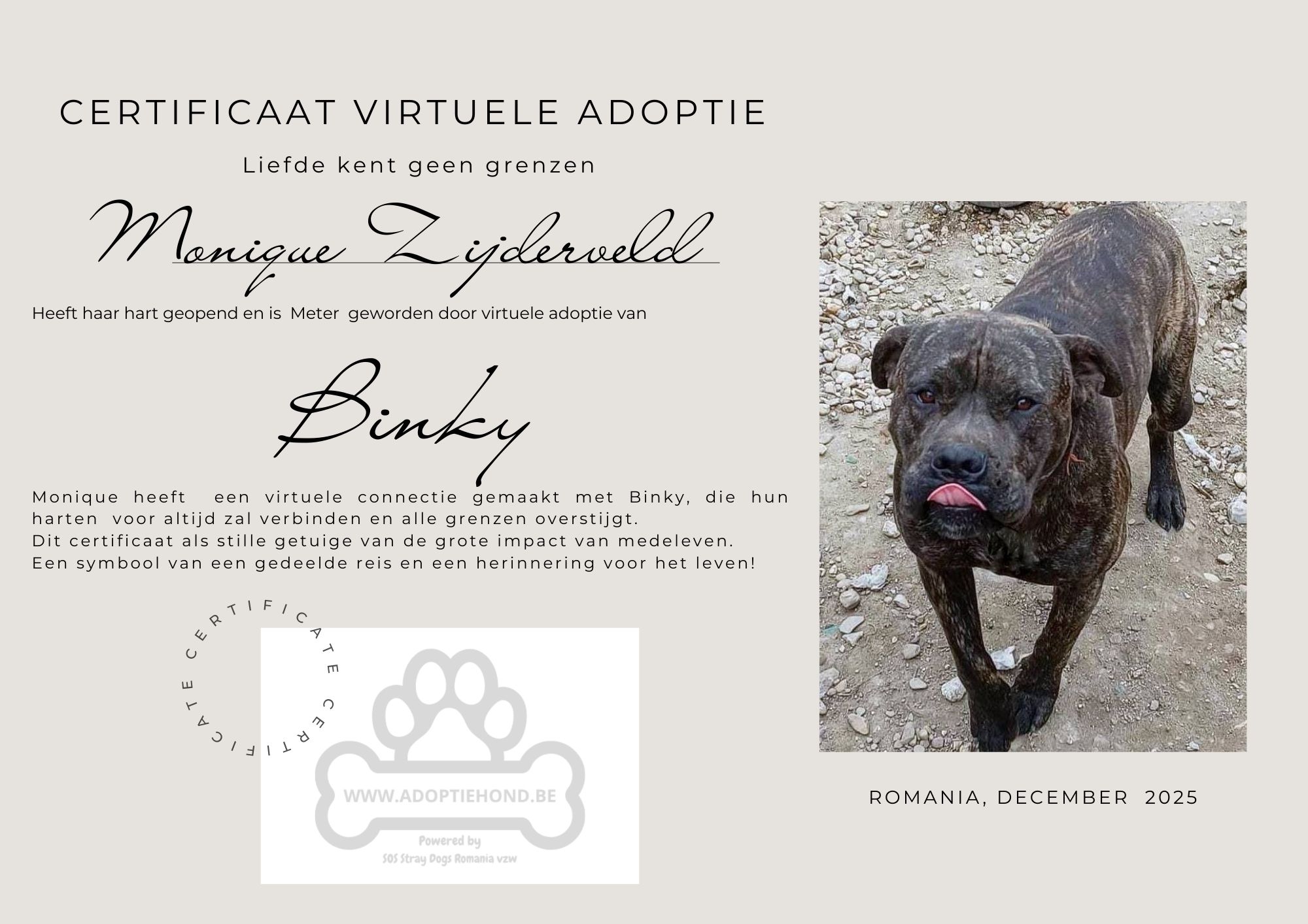 Wie helpt Binky?