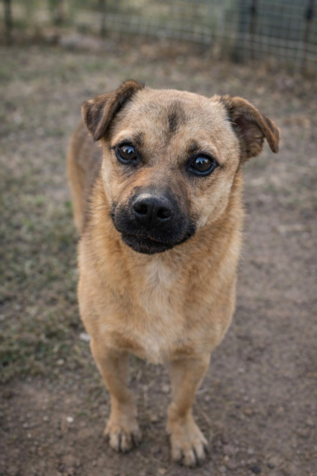 *** RESERVED UK ***