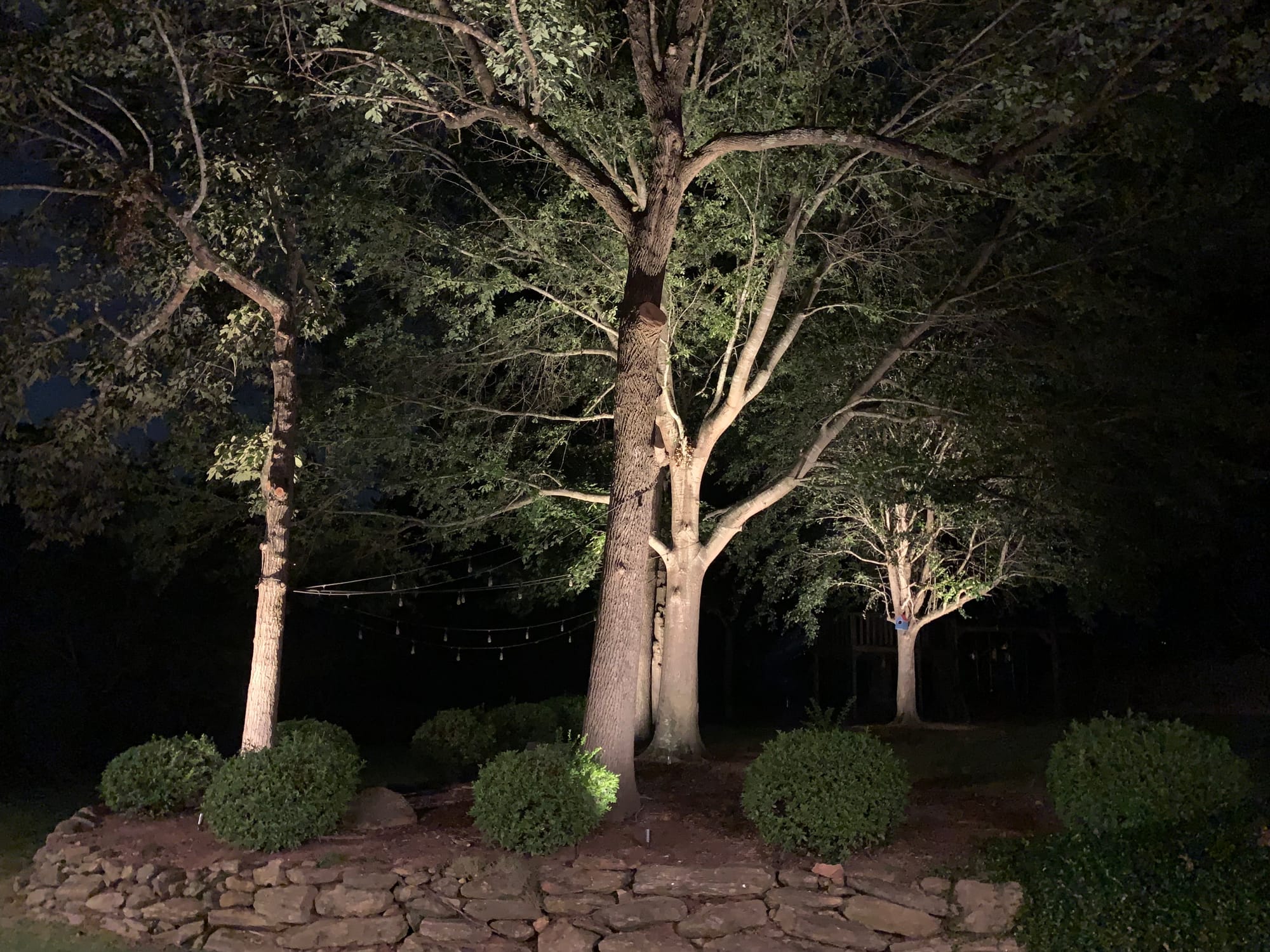 Landscape Lighting LED brass up lights Greenville SC
