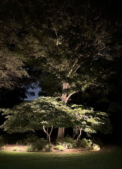 4 Reasons to Add Landscape Lighting to Your Home