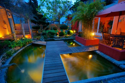 Illuminating your Backyard Water Feature