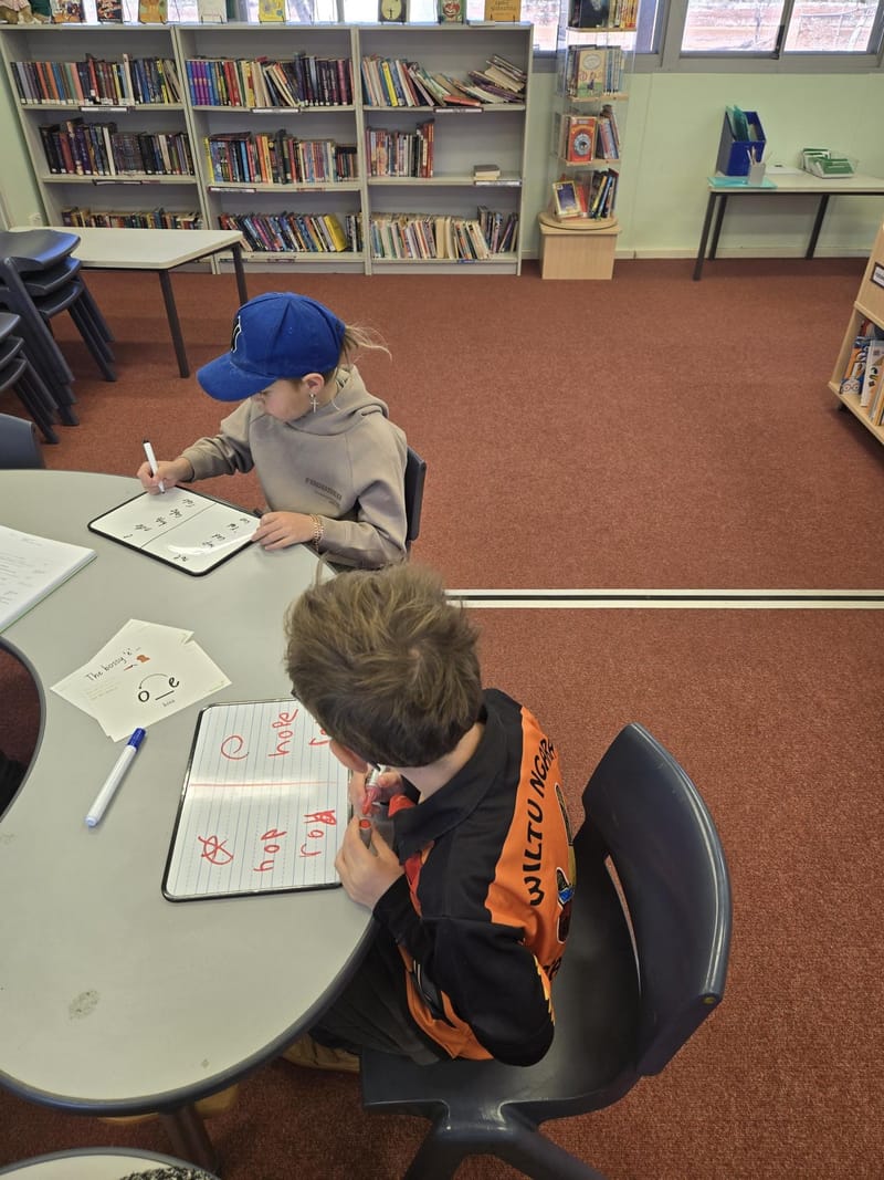 Literacy Intervention