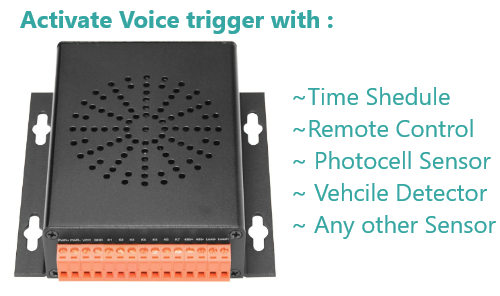 Voice Alert System